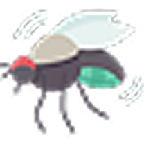 Flies