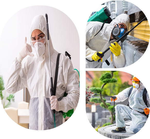 Pest Control Worker