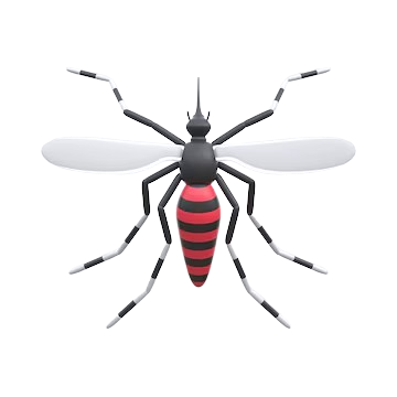mosquito