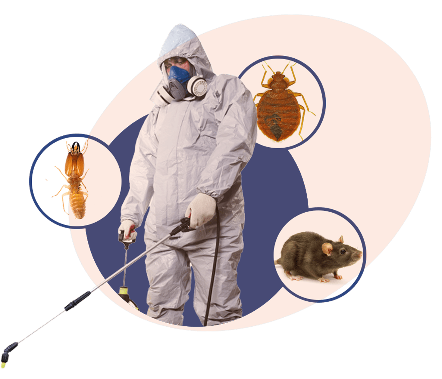 Pest Control Worker