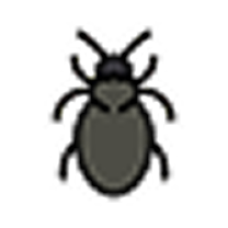Wood Borer